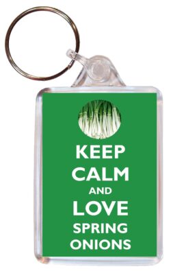 Keep Calm and Love Spring Onions - Double Sided Large Keyring Key Ring Fob Chain Name Tag Gift Present Souvenir