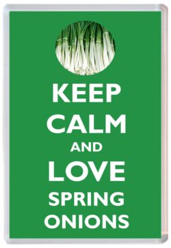 Keep Calm and Love Spring Onions - Jumbo Fridge Magnet Souvenir Gift Present