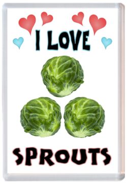 I Love Sprouts - Jumbo Fridge Magnet Souvenir Gift Xmas Christmas Present