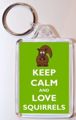 Keep Calm and Love Squirrels - Double Sided Large Keyring Key Ring Fob Chain Name Tag Gift Present Souvenir