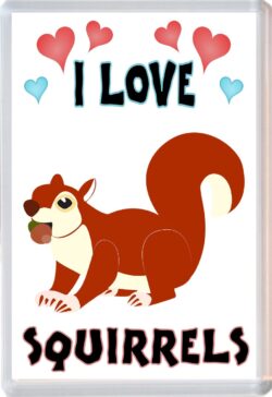I Love Squirrels - Jumbo Fridge Magnet Souvenir Gift Present