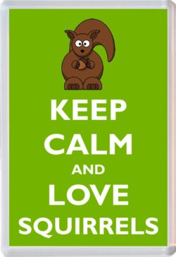 Keep Calm and Love Squirrels - Jumbo Fridge Magnet Souvenir Gift Present