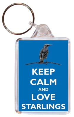 Keep Calm and Love Starlings - Double Sided Large Keyring Key Ring Fob Chain Name Tag Gift Present Souvenir