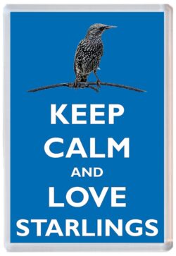 Keep Calm and Love Starlings - Jumbo Fridge Magnet Souvenir Gift Present