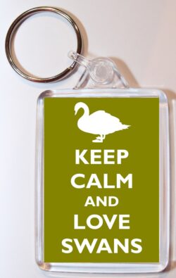 Keep Calm and Love Swans - Jumbo Fridge Magnet Souvenir Gift Present