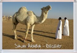 Saudi Arabia - Desert - Jumbo Fridge Magnet Souvenir Gift Present