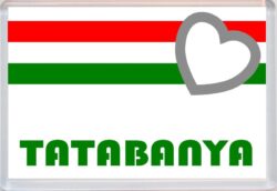 Tatabanya - Love Hungary/Hungarian Towns & Cities Flag - Jumbo Fridge Magnet Souvenir Gift Present