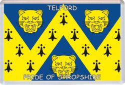 Telford - Pride of Shropshire County Flag - Jumbo Fridge Magnet Souvenir Gift