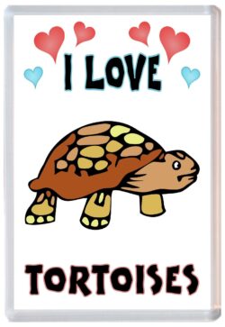 I Love Tortoises - Jumbo Fridge Magnet Souvenir Gift Present