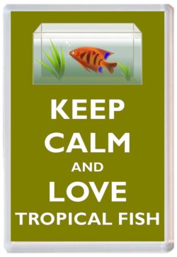 Keep Calm and Love Tropical Fish - Jumbo Fridge Magnet Souvenir Gift Present