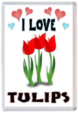 I Love Tulips - Jumbo Fridge Magnet Souvenir Gift Present