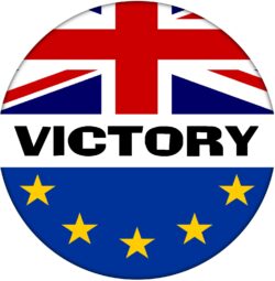 Victory - 59mm Badge Referendum Brexit European Union EU Vote Leave Stay