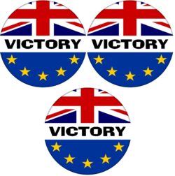 Victory - 3 PACK - 59mm Badge Referendum Brexit European Union EU Vote Leave Stay