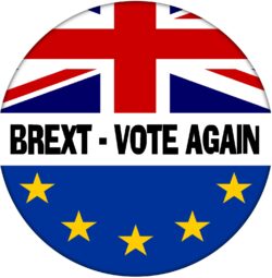 Brexit - Vote Again - 59mm Badge Referendum Brexit European Union EU Vote Leave Stay