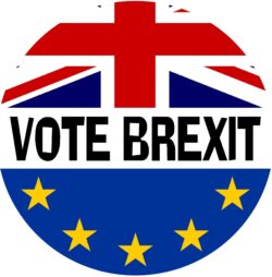 Vote Brexit - (TWO PACK) - Car Bumper / Laptop / Window / Decal / Sticker