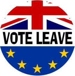 Vote Leave - (TWO PACK) - Car Bumper / Laptop / Window / Decal / Sticker