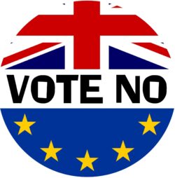 Vote No - (TWO PACK) - Car Bumper / Laptop / Window / Decal / Sticker