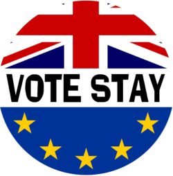 Vote Stay - (TWO PACK) - Car Bumper / Laptop / Window / Decal / Sticker