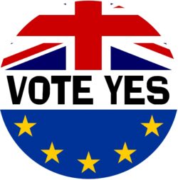 Vote Yes - (TWO PACK) - Car Bumper / Laptop / Window / Decal / Sticker