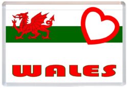 Wales - Love Wales/Welsh Towns & Cities Flag - Jumbo Fridge Magnet Souvenir Gift Present