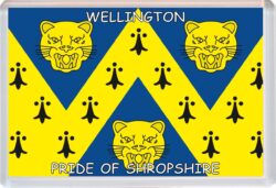 Wellington - Love New Zealand Towns & Cities Flag - Jumbo Fridge Magnet Souvenir Gift Present