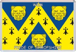Wem - Pride of Shropshire County Flag - Jumbo Fridge Magnet Souvenir Gift