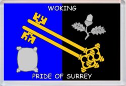 Woking - Pride of Surrey County Flag - Jumbo Fridge Magnet Souvenir Gift