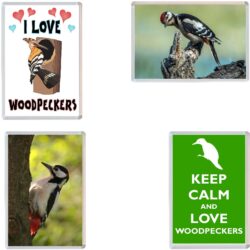 Woodpeckers - Keep Calm, I Love & More - 4 PACK - Jumbo Fridge Magnet Souvenir Gift Present