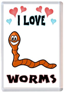 I Love Worms - Jumbo Fridge Magnet Souvenir Gift Present