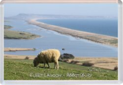 Abbotsbury – Dorset – Jumbo Fridge Magnet Souvenir Gift Present D1