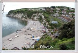 Beer - Devon - Jumbo Fridge Magnet Souvenir Gift Present Beach