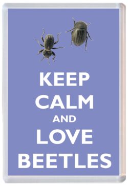 Keep Calm and Love Beetles - Jumbo Fridge Magnet Souvenir Gift Present