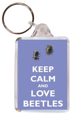 Keep Calm and Love Beetles - Double Sided Large Keyring Key Ring Fob Chain Name Tag Gift Present Souvenir