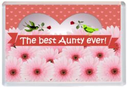 Best Aunty Ever - Jumbo Fridge Magnet Souvenir Gift Mothers Day Birthday Xmas Present
