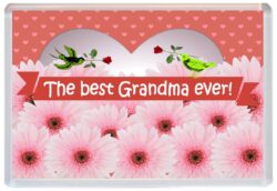 Best Grandma Ever - Jumbo Fridge Magnet Souvenir Gift Mothers Day Birthday Xmas Present
