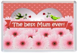 Best Mum Ever - Jumbo Fridge Magnet Souvenir Gift Mothers Day Birthday Xmas Present