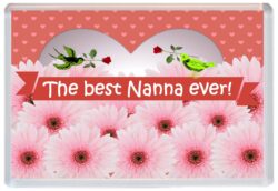 Best Nanna Ever - Jumbo Fridge Magnet Souvenir Gift Mothers Day Birthday Xmas Present