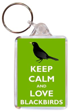 Keep Calm and Love Budgies - Double Sided Large Keyring Key Ring Fob Chain Name Tag Gift Present Souvenir