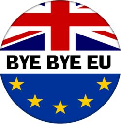 Bye Bye EU - 59mm Badge Referendum Brexit European Union EU Vote Leave Stay