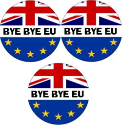 Bye Bye EU - 3 PACK - 59mm Badge Referendum Brexit European Union EU Vote Leave Stay