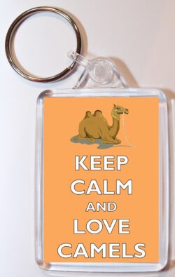 I Love Camels - Double Sided Large Keyring Key Fob Chain Ring Name Tag Gift Present Souvenir