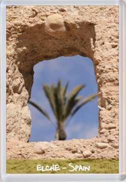 Elche - Spain - Jumbo Fridge Magnet Souvenir Gift Present (a)