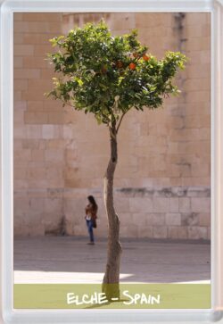 Elche - Spain - Jumbo Fridge Magnet Souvenir Gift Present (b)