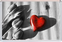 Valentines Day - Flowers / Heart - Jumbo Fridge Magnet Souvenir Gift Present
