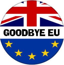 Goodbye EU - 59mm Badge Referendum Brexit European Union EU Vote Leave Stay