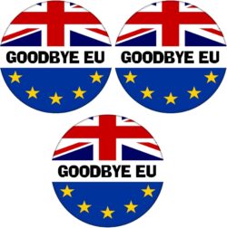 Goodbye EU - 3 PACK - 59mm Badge Referendum Brexit European Union EU Vote Leave Stay