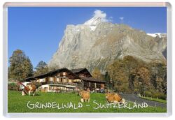 Grindelwald - Switzerland - Jumbo Fridge Magnet Souvenir Gift