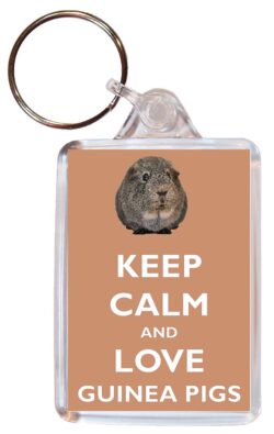 Keep Calm and Love Guinea Pigs - Double Sided Large Keyring Key Ring Fob Chain Name Tag Gift Present Souvenir