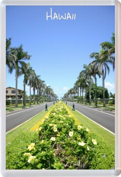 Hawaii - Palm Trees - USA - Jumbo Fridge Magnet Souvenir Gift Present