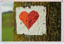 Valentines Day - Love Heart - Jumbo Fridge Magnet Souvenir Gift Present (a)